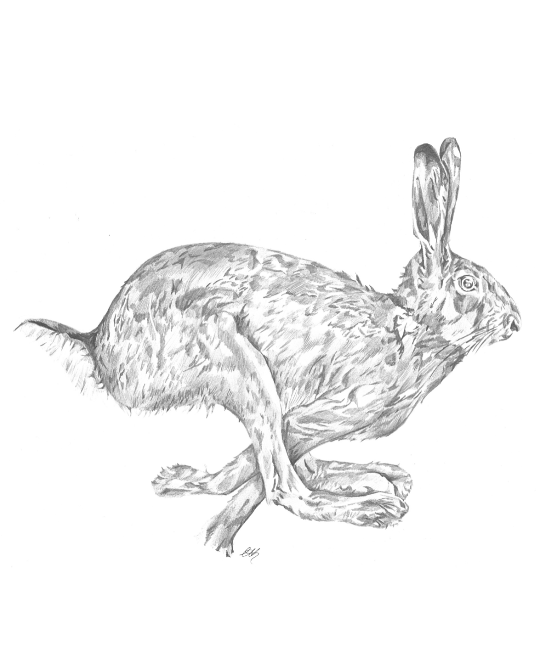 Running Hare