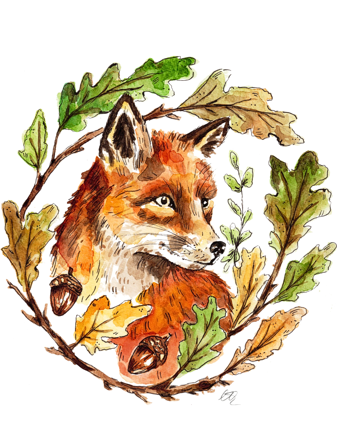 Oak Tree Fox Print