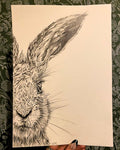 Original Half Hare Face - A4