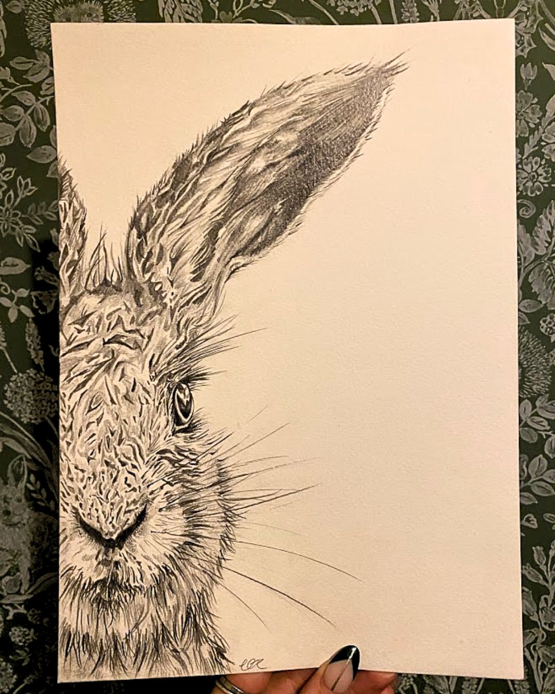 Original Half Hare Face