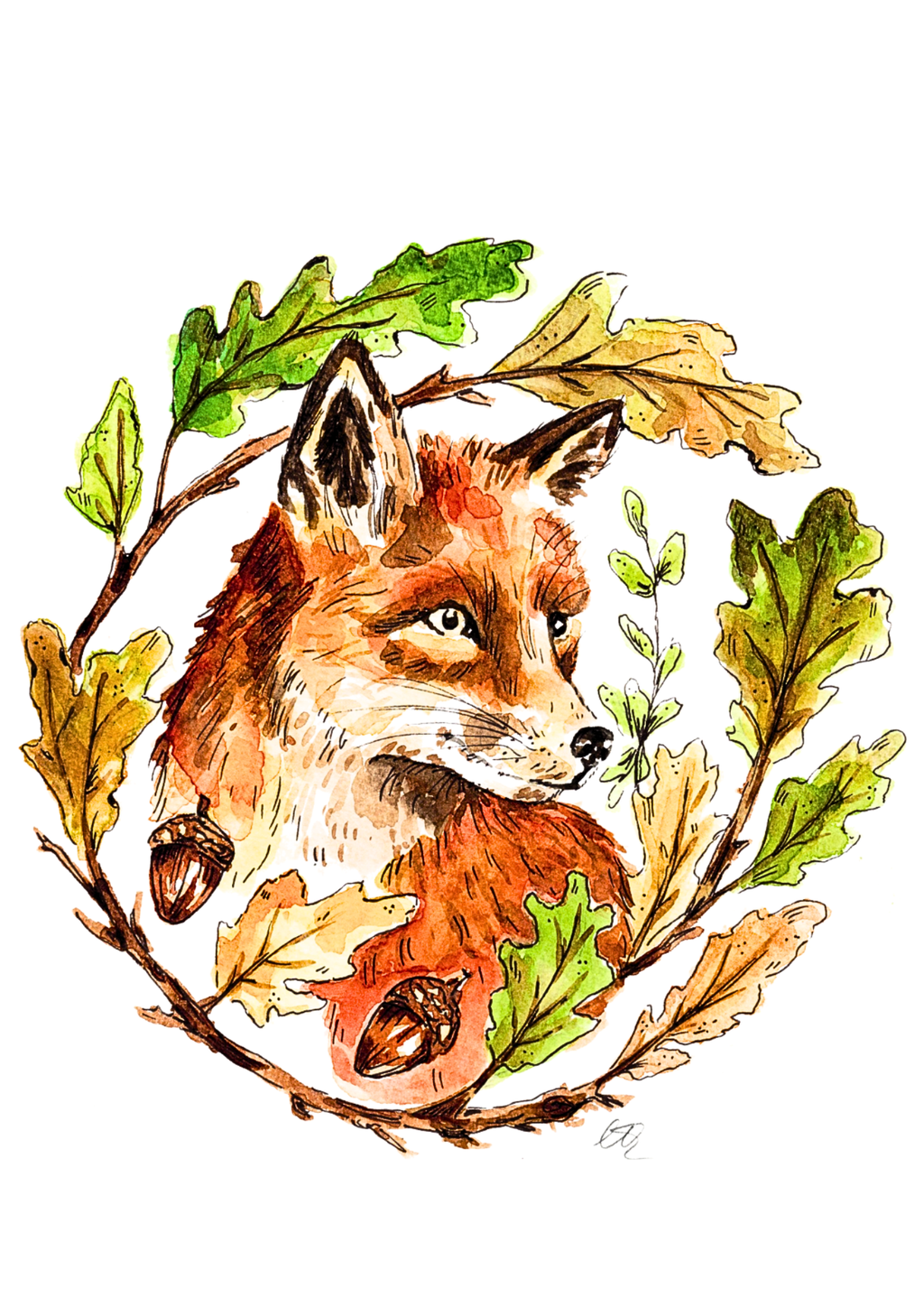 Original Oak Tree Fox - A4