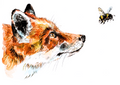 Original Curious Fox and Bumblebee - A4 Landscape