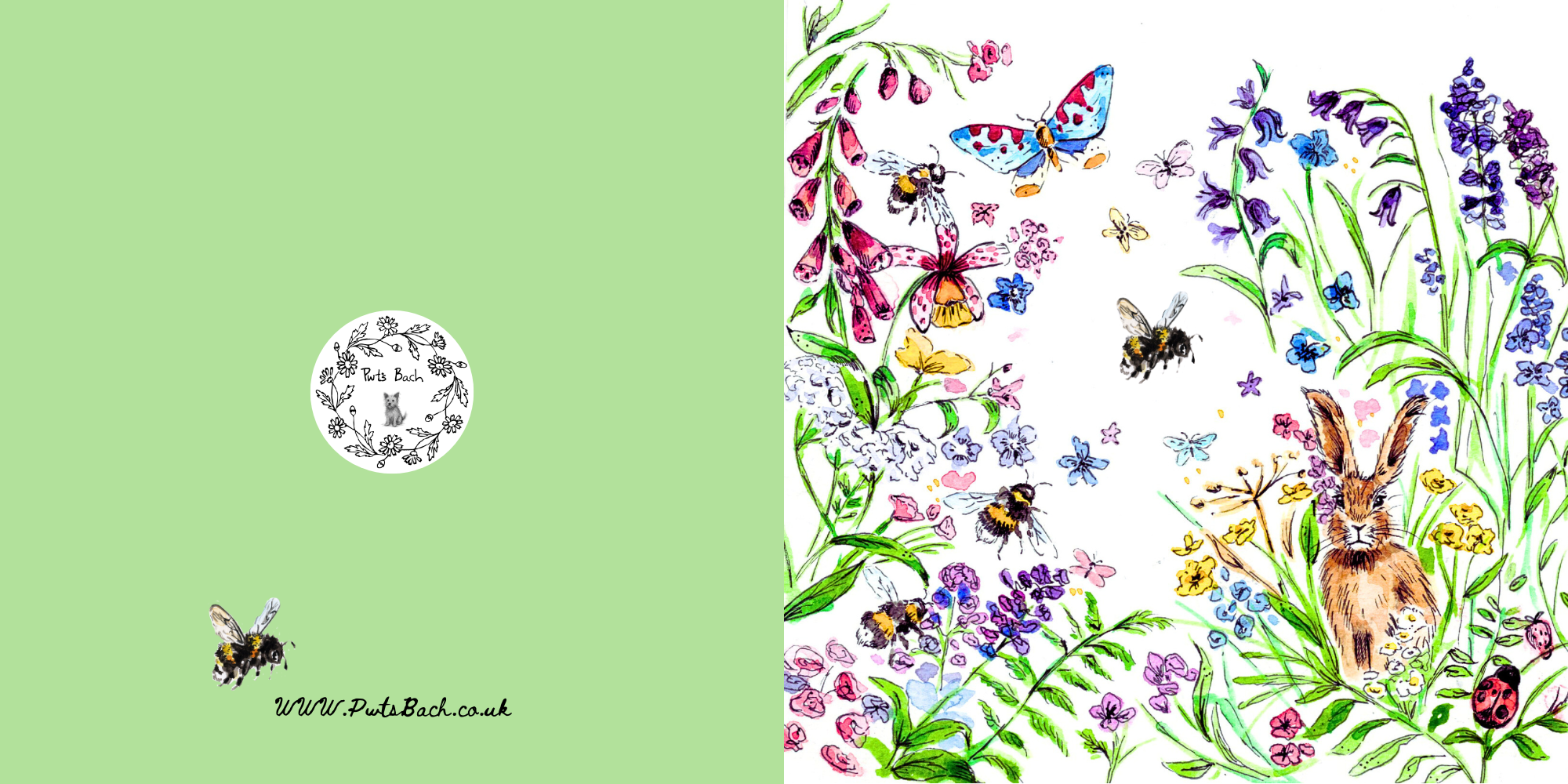 Wildflowers and Hidden Hare Card