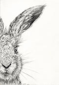 Half Hare Face Print