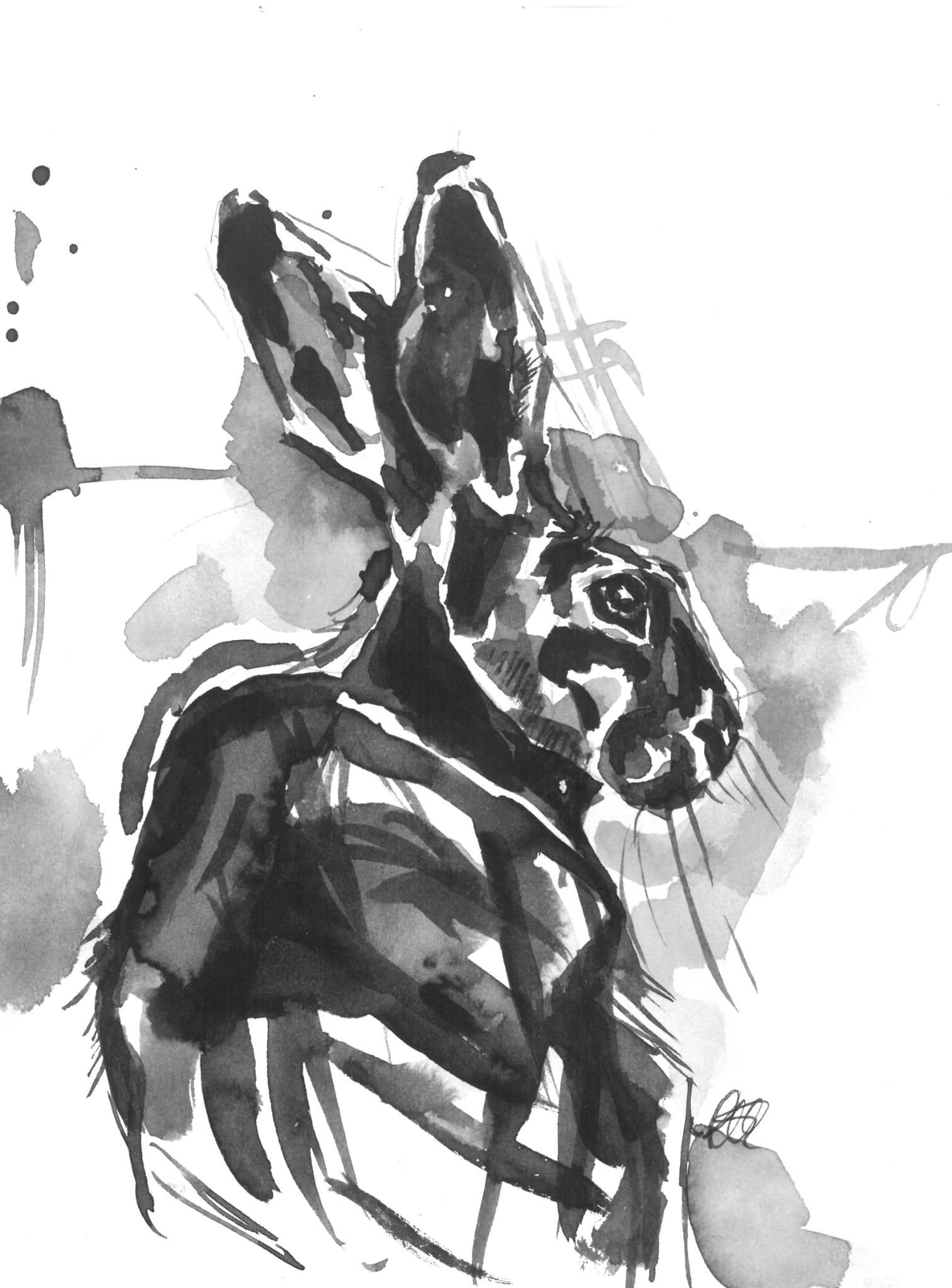 Black Watercolour Hare Print
