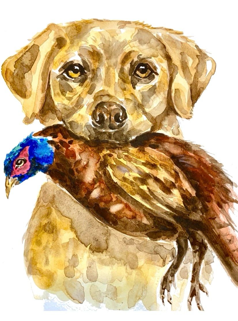 Golden Labrador with Pheasant Print