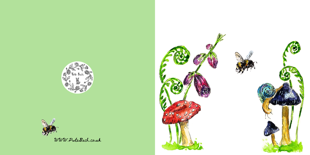 Mushrooms Card