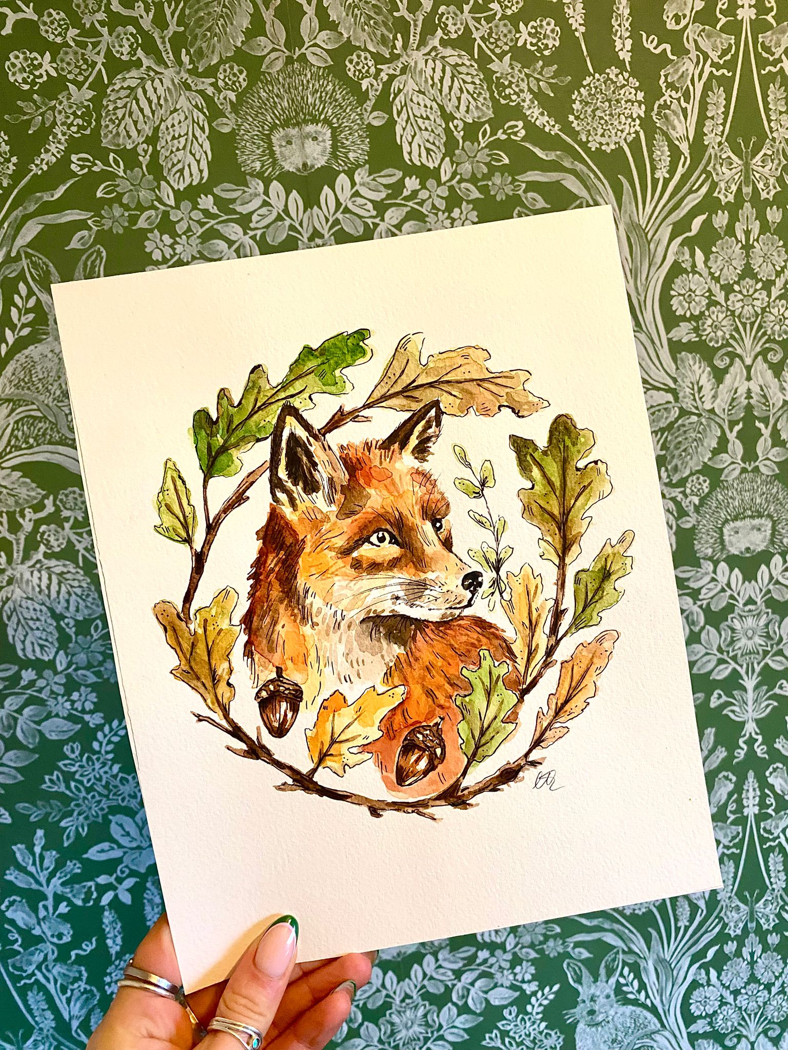 Original Oak Tree Fox - A4